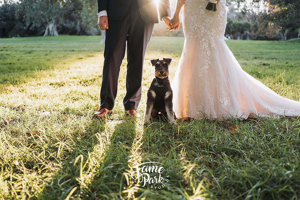 Most outdoor wedding venues are pet friendly
