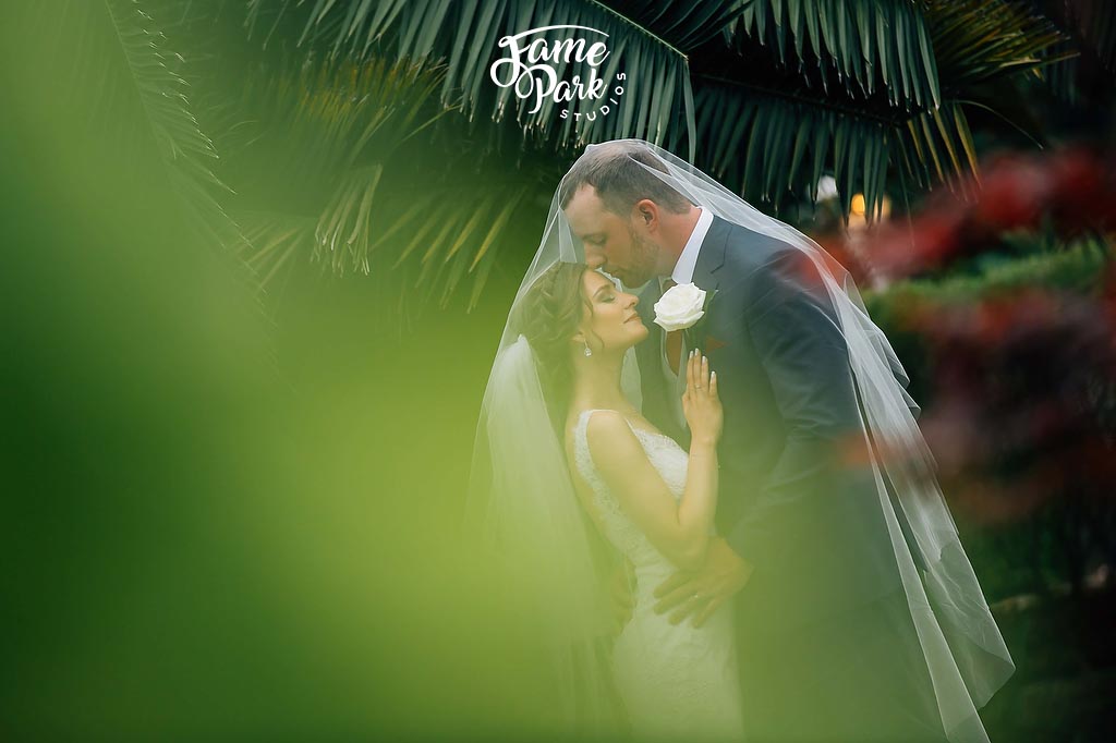 The groom is kissing the bride’s forehead while they’re surrounded by greenery
